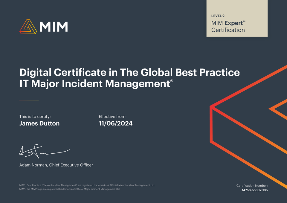 MIM Expert®